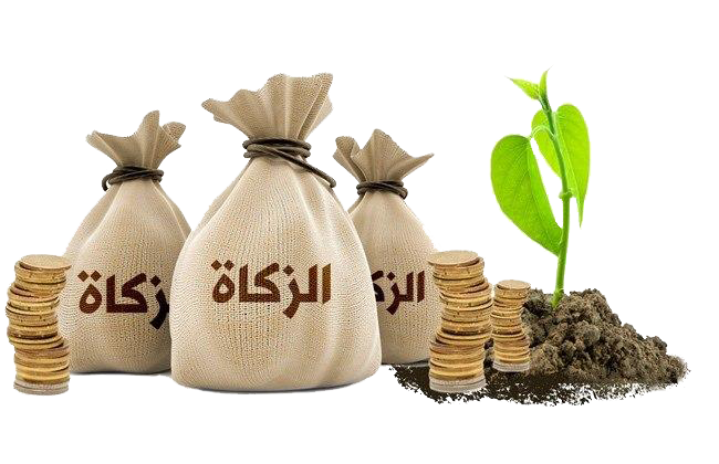 طرق تحديد وعاء الزكاة (AAOIFI)